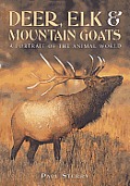 Deer Elk & Mountain Goats