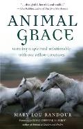 Animal Grace: Entering a Spiritual Relationship with Our Fellow Creatures