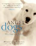 Angel Dogs Divine Messengers Of Love