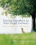 Saying Goodbye to Your Angel Animals: Finding Comfort After Losing Your Pet