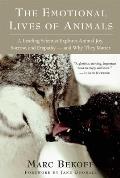 Emotional Lives of Animals A Leading Scientist Explores Animal Joy Sorrow & Empathy & Why They Matter