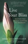 Live Your Bliss Practices For A Fulfil