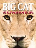 Animal Story Big Cat Summer