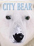 Animal Story City Bear