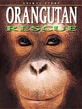 Animal Story Orangutan Rescue