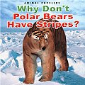 Why Dont Polar Bears Have Stripes