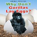 Why Dont Gorillas Lay Eggs Primates