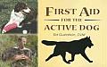 First Aid For The Active Dog