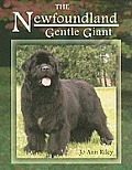 Newfoundland Gentle Giant