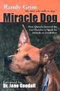 Miracle Dog How Quentin Survived the Gas Chamber to Speak for Animals on Death Row