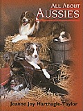 All About Aussies The Australian Sheph