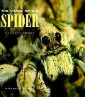 World Of The Spider