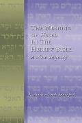 The Meaning of Hesed in the Hebrew Bible: A New Inquiry