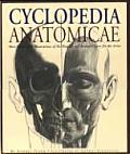 Cyclopedia Anatomicae More Than 1500 Illustrations of the Human & Animal Figure for the Artist
