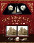 New York in 3D A Book Plus Stereoscopic Viewer & 50 3D Photos from the Turn of the Century