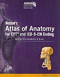 Netter's Atlas of Anatomy F/ CPT and ICD-9-CM Coding: Musculoskeletal