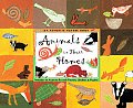 Animals in Their Homes with Sticker & Poster & Puzzle