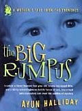 Big Rumpus A Mothers Tale from the Trenches