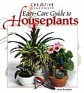 Easy Care Guide To Houseplants
