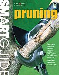Smart Guide Pruning