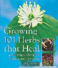 Growing 101 Herbs That Heal Gardening Techniques Recipes & Remedies