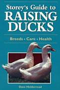 Storeys Guide to Raising Ducks Breeds Care Health