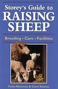 Storeys Guide To Raising Sheep