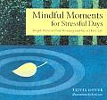Mindful Moments for Stressful Days Simle Ways to Find Meaning & Joy in Daily Life