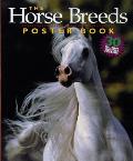 Horse Breeds Poster Book