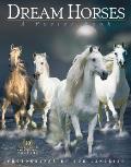 Dream Horses Poster Book