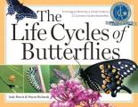 Life Cycles of Butterflies From Egg to Maturity a Visual Guide to 23 Common Garden Butterflies