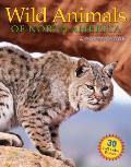 Wild Animals of North America A Poster Book