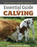 Essential Guide to Calving Giving Your Beef or Dairy Herd a Healthy Start