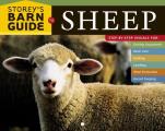 Storeys Barn Guide to Sheep