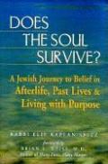 Does The Soul Survive A Jewish Journey