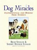 Dog Miracles Inspirational & Heroic True