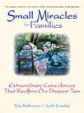 Small Miracles For Families Extraordinar