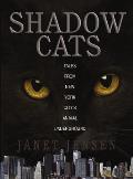 Shadow Cats Tales From New York Citys