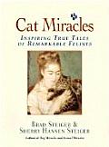 Cat Miracles Inspiring True Tales Of Rem