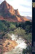 Zion National Park Sanctuary In The Dese