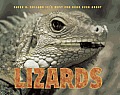 Sneed B Collard IIIs Most Fun Book Ever about Lizards