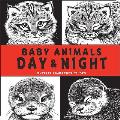 Baby Animals Day & Night