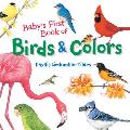 Babys First Book of Birds & Colors