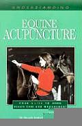 Understanding Equine Acupuncture Your Guide to Horse Health Care & Management