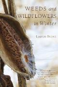 Weeds & Wildflowers in Winter