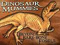 Dinosaur Mummies Beyond Bare Bone Fossil
