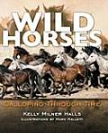 Wild Horses Galloping Through Time