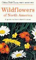 Wildflowers of North America A Guide to Field Identification