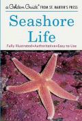 Seashore Life A Guide to Animals & Plants Along the Beach
