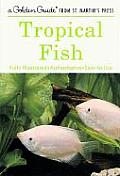 Tropical Fish A Guide For Setting Up & Main